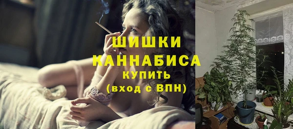 тгк Богородицк