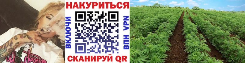 площадка как зайти  купить  цена  Нерехта  Марихуана тримм 